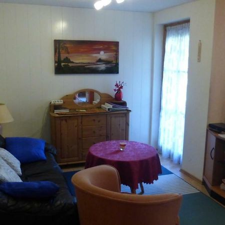 Schwarzwaldhaus Apartment Elzach Luaran gambar