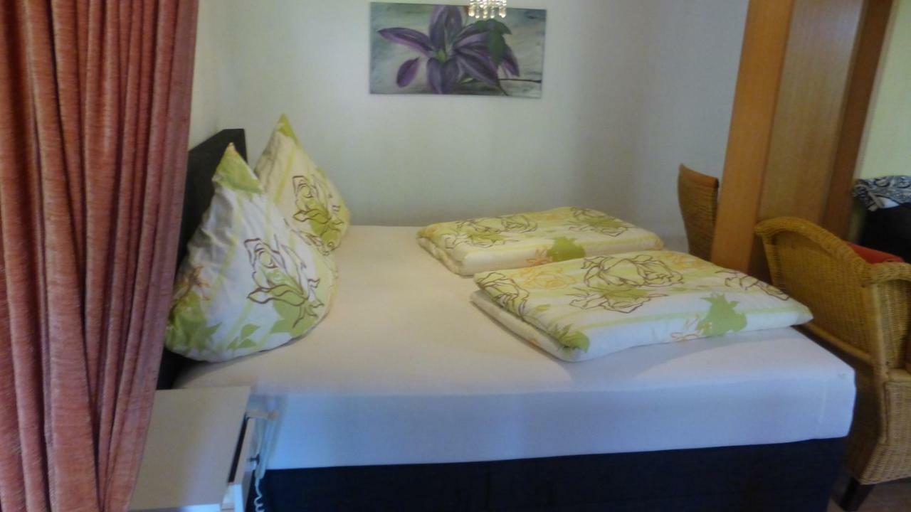 Schwarzwaldhaus Apartment Elzach Luaran gambar