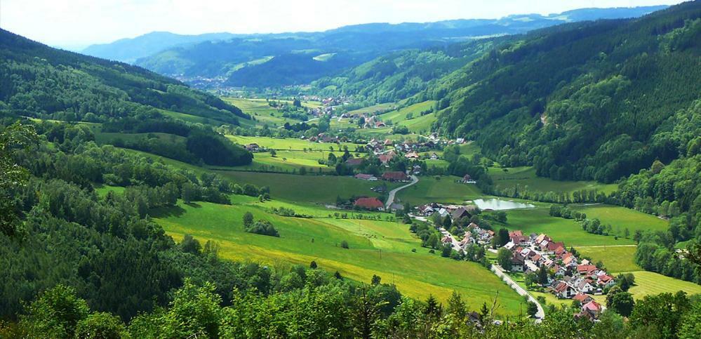 Schwarzwaldhaus Apartment Elzach Luaran gambar