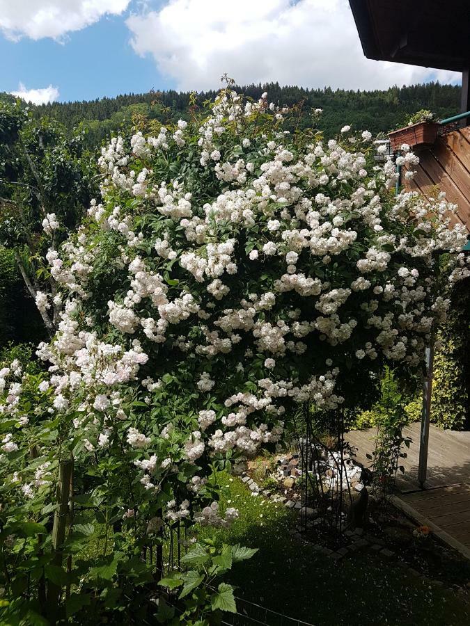 Schwarzwaldhaus Apartment Elzach Luaran gambar
